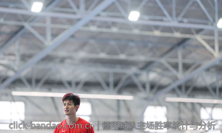 德甲球队主场胜率统计与分析
