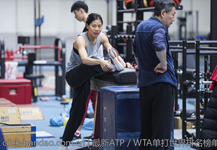 最新ATP／WTA单打世界排名榜单深入解析与趋势预测
