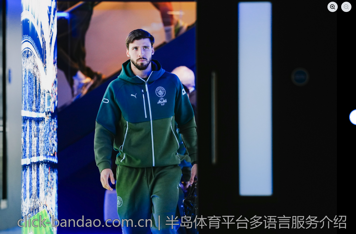 半岛体育平台多语言服务介绍